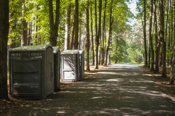 Best Portable bathroom rental  in Detroit Beach, MI